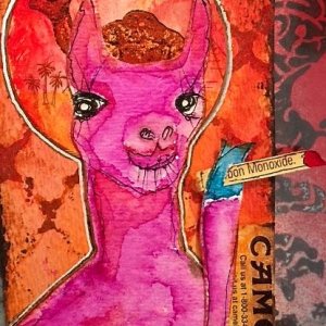 This Llama only smokes camels. So, it's a'ight.