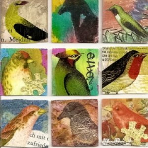 MM with Birds