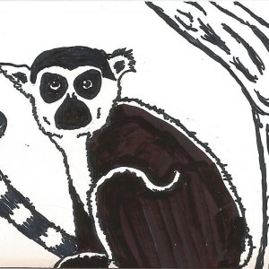 Because Lemurs Should Never Be Lonely