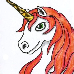 Unicorn