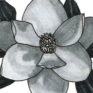 Greyscale Magnolia