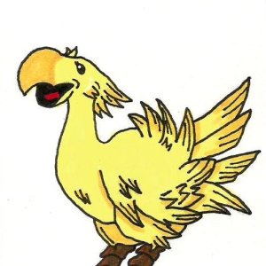 Chocobo