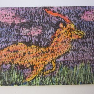 Antelope