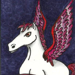 Fancy Pegasus