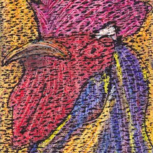 Roosters and Hens Swap