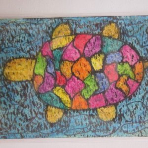 Turtles