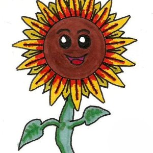 Happy Sunflower