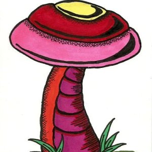 Tacky Shroom