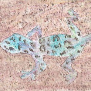 Animals of the Alphabet - Letter X - Cards