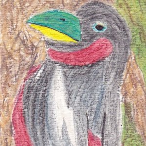Songbirds - Broadbills - Cards for Swap