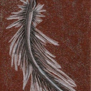 Feather Glitter Overdose