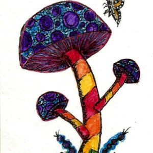 Sparkle Shrooms