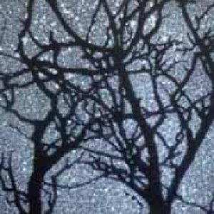 2015 July 1st Place Winner