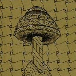 For Jewels' Zentangle Mushrooms and Toadstools swap