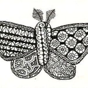 Trangle Moth