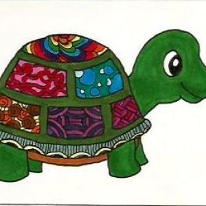 Trangle Turtle