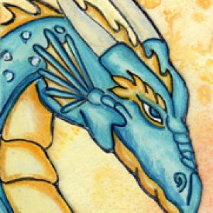 2015 August Contest 2nd Place deblit