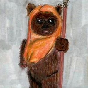 Cards for FlyingPhoenix