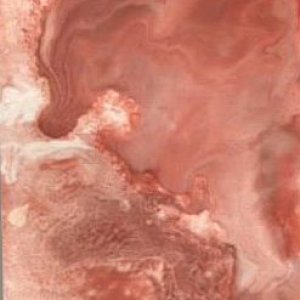 The Dragon & The Fairy