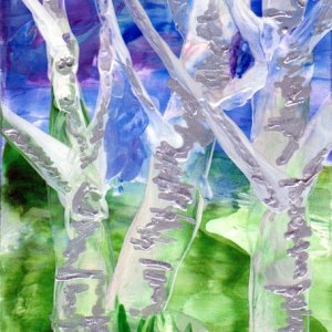 Silver Birches