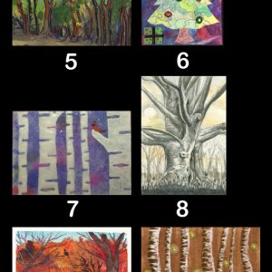 2015 December Monthly Contest Entries - Trees