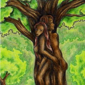 2015 December Monthly Contest -First Place Q-ni