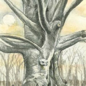 2015 December Monthly Contest - Second Place - ineedtocreate