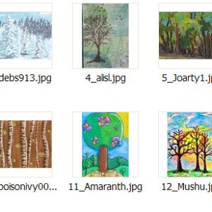 2015 December Monthly Contest Entrants