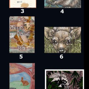 2016 January Monthly Contest Entries