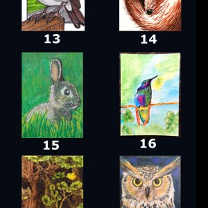 2016 January Monthly Contest Entries