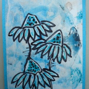 Coneflowers blue