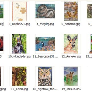 2016 January Monthly Contest Entrants