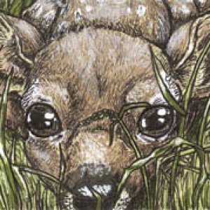 2016 January Monthly Contest 1st Place - Ainslee