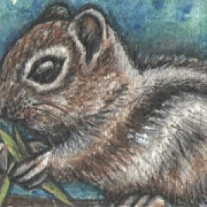 2016 January Monthly Contest 2nd Place - mcgillisj