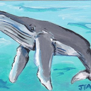 Marine Mammal Swap