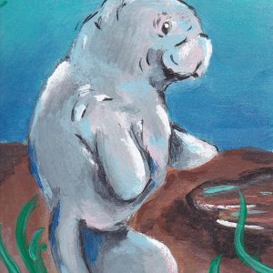 Marine Mammal Swap