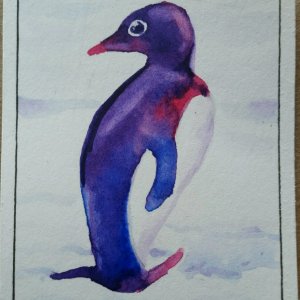 Penguin