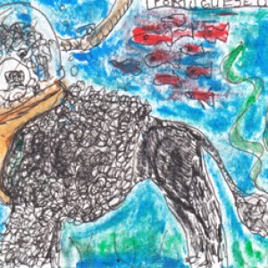 Portuguese Underwater Dog - Dogs 3 Ways