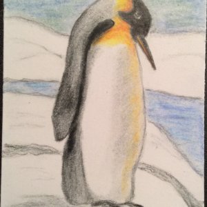 penguin