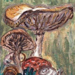 Mushrooms and a Snail