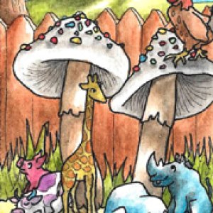 2016 May Monthly ATC Contest 1st Place -- Noodlerabbit88