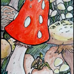 2016 May Monthly ATC Contest 2nd Place - redlionspride