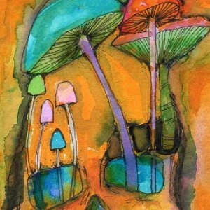 Mushrooms & Skelly May Monthly Contest