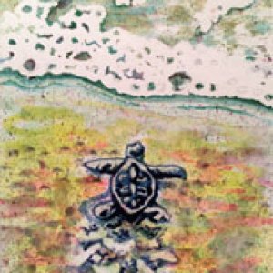 2016 June Monthly Contest - Second Place - Crfarywngs