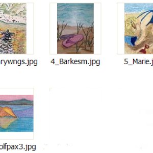 2016 June Monthly Contest - Entrants