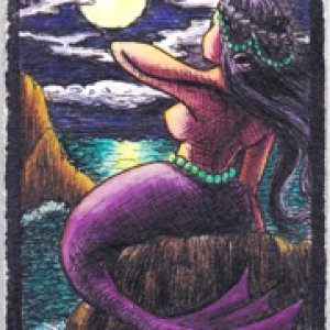 2016 July Monthly Contest - 1st Place