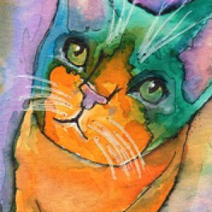 2016 August Monthly Contest 1st Place