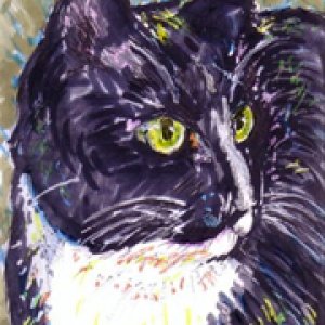 2016 August Monthly Contest 2nd Place