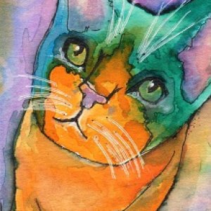 August Contest Kitty