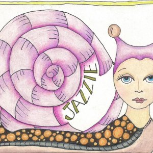 Snail Mail  alteres envie
